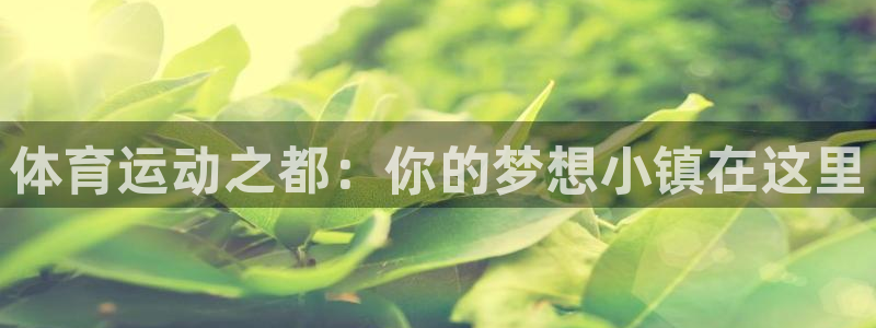球王会体育