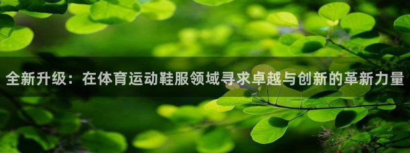 球王会体育