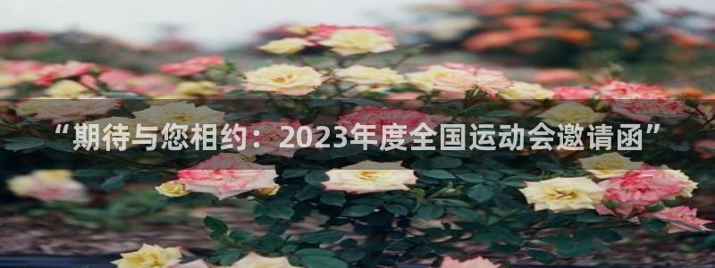 球王会体育