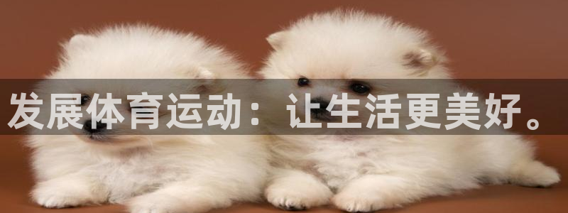 球王会体育