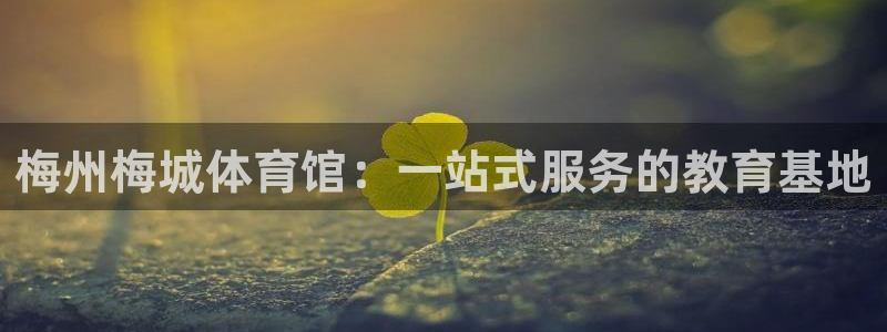球王会体育