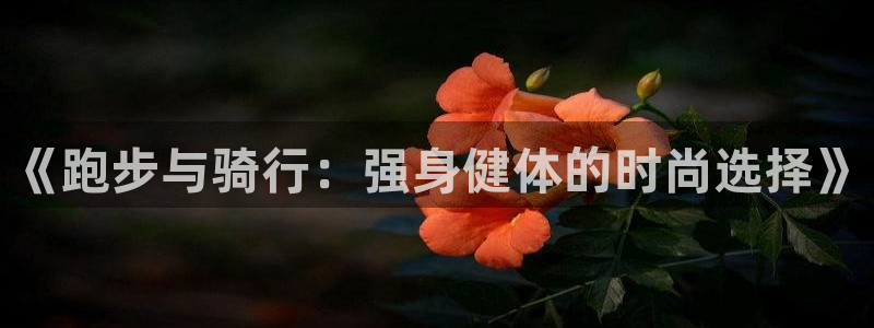 球王会体育