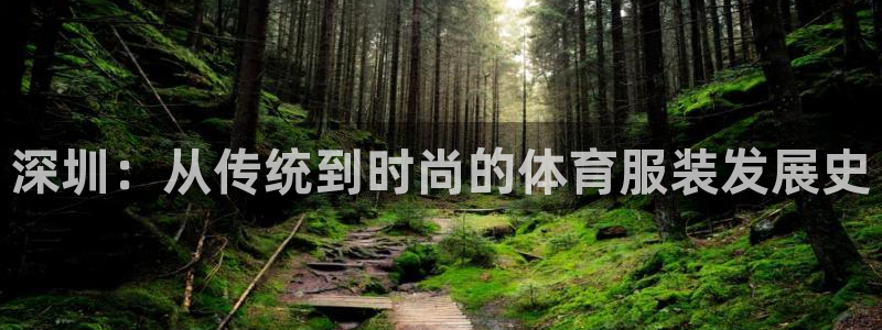 球王会体育