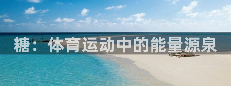 球王会体育
