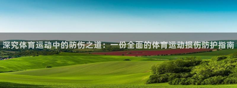 球王会体育