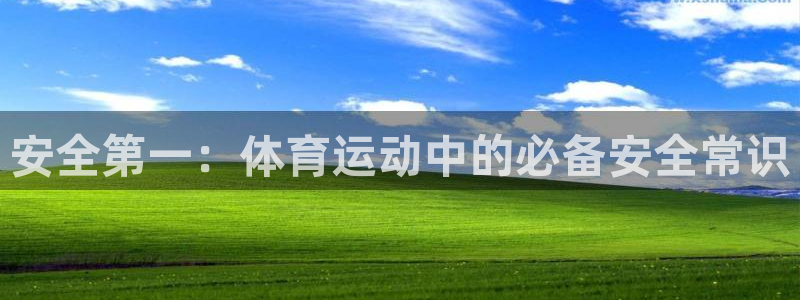 球王会体育