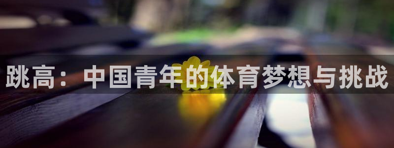 球王会体育