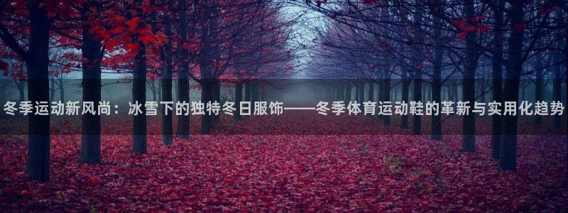 球王会体育