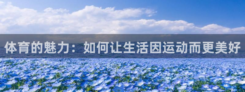 球王会体育
