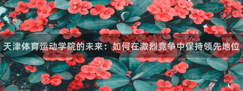 球王会体育